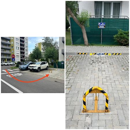 Newlevel Studio Брашов Екстер'єр фото